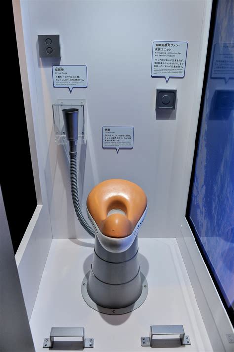 This can be done for sexual gratification, or as part of a power exchange between two or more people. . Human toilet